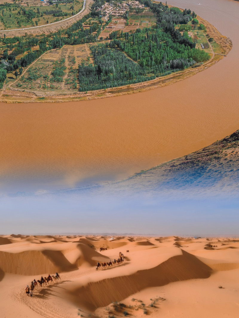 宁夏,任务完成与技能学习详细指南(初学者与进阶用户适用)