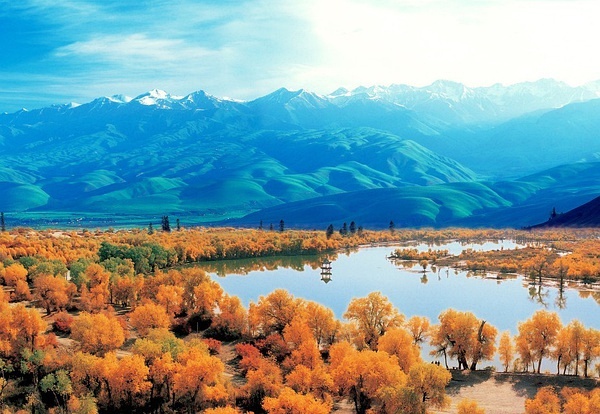 新疆技能学习指南，从入门到进阶的实用指南