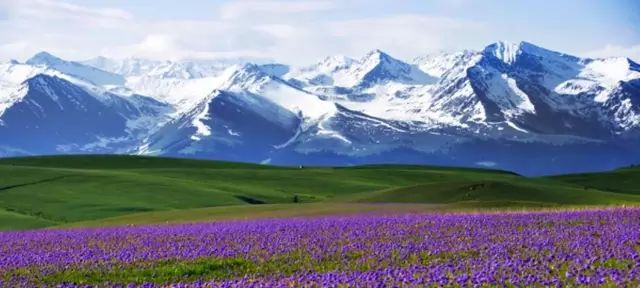 新疆,浪漫自然邂逅之地